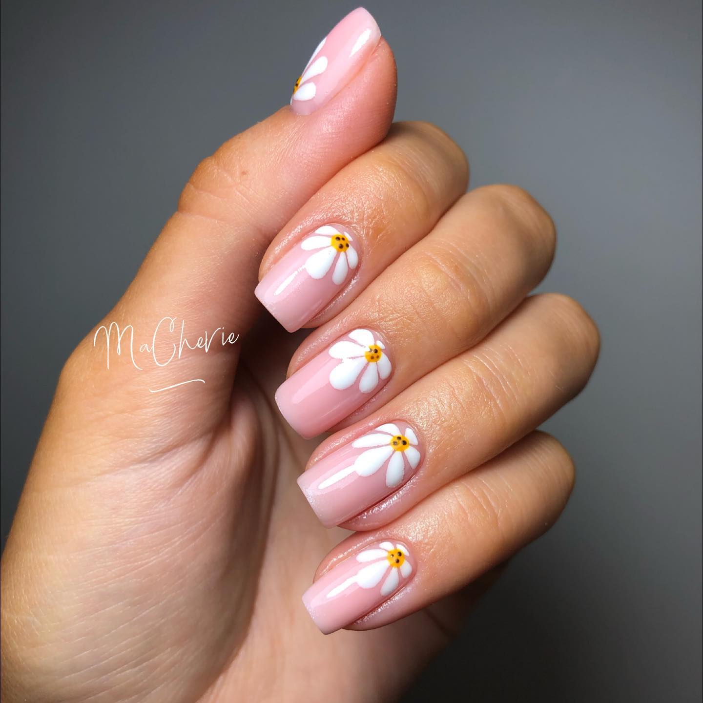 28. Daisy Dreams on a Blush Canvas