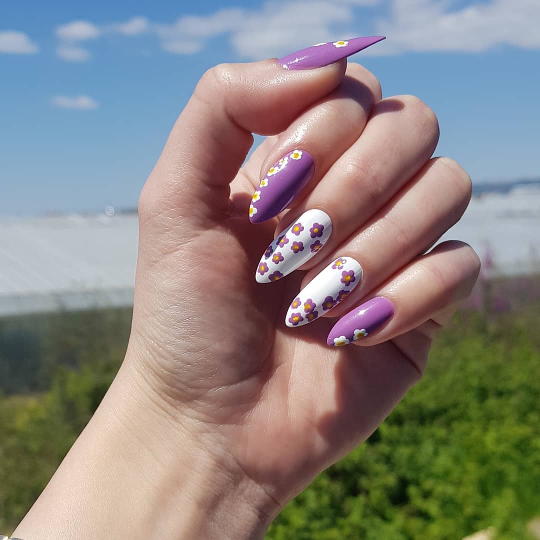 12. Lavender Dreams and Petal Whispers: a Floral Escape