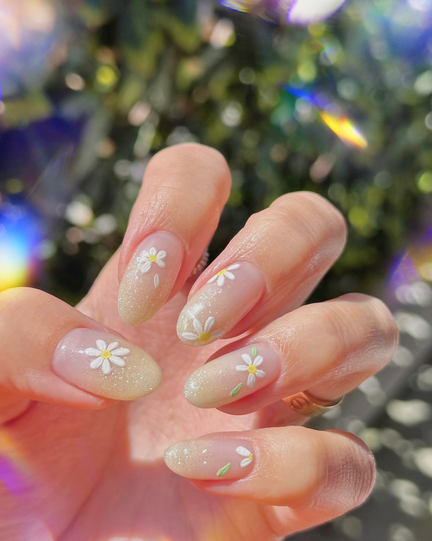 28. Daisies In the Sun: a Glimmering Spring Daydream