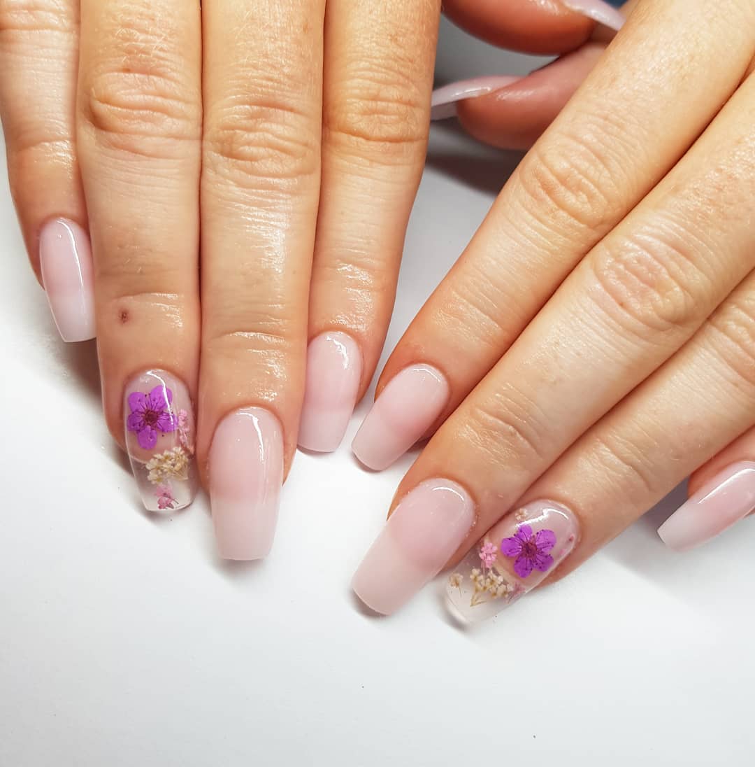 16. Blooming Elegance: Transparent Petals on a Blush Canvas